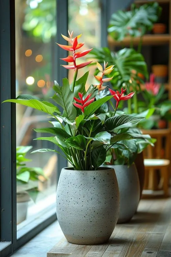 Planthub