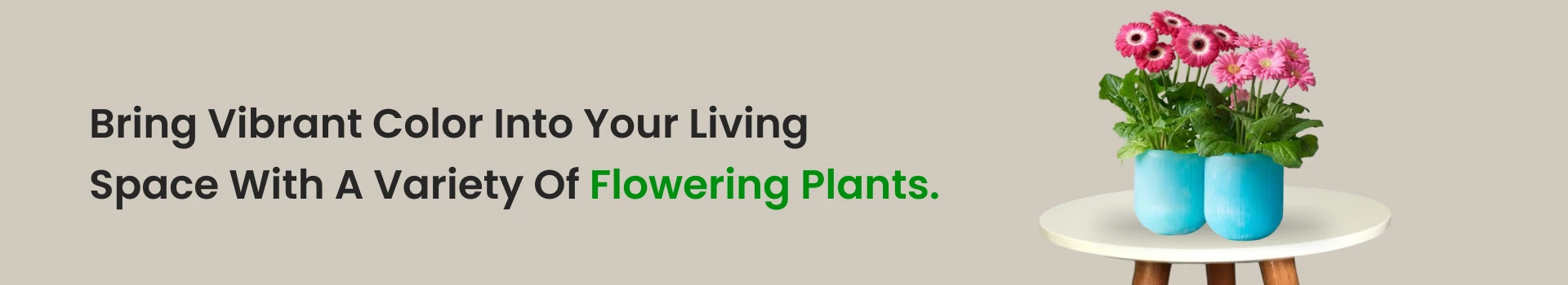 Flowering Plants