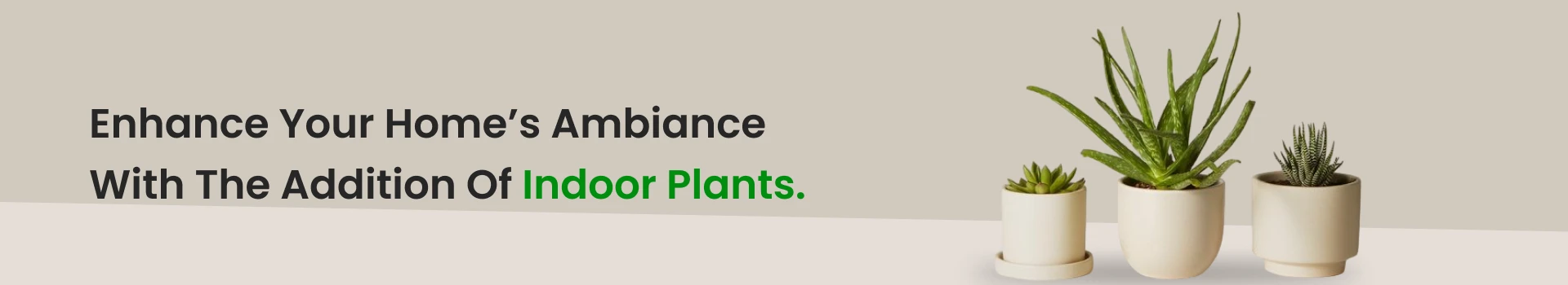 Indoor Plants